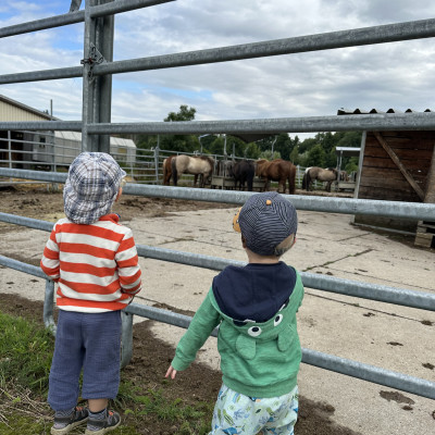 Spaziergang Spaziergang