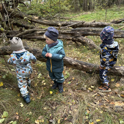Im kleinen Wäldchen